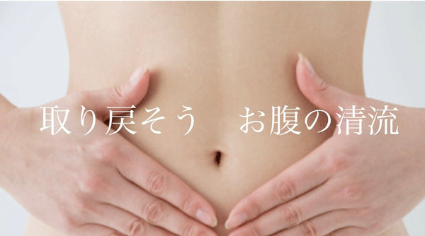 【22,760円off】セットでお得！リセットフローラ210粒（2箱）正規取扱店